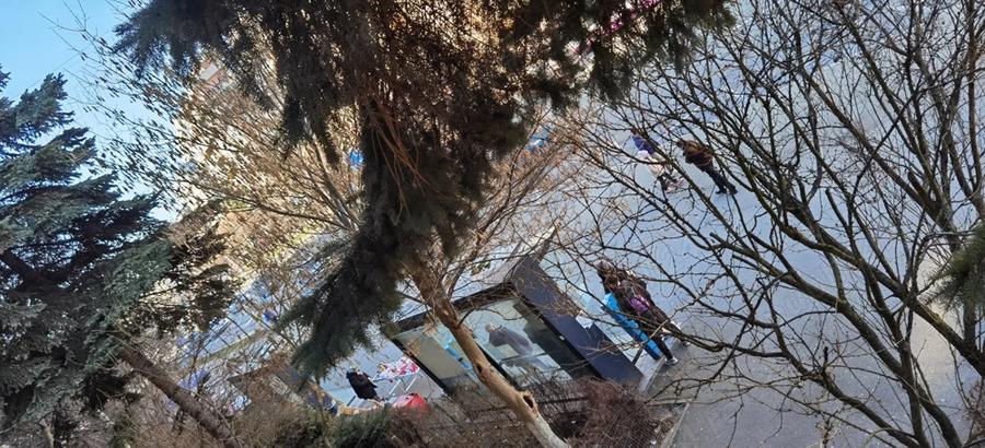 Vand apartament 3 camere in proximitatea USAMV si Platinia - 5