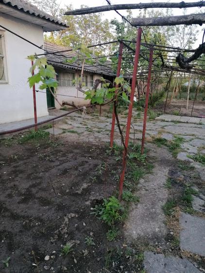 Casa de vanzare 1200 mp in comuna Unirea, jude?ul Calara?i - 1