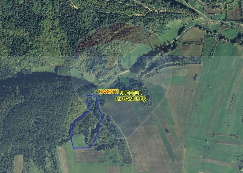 Pădure de vanzare cu zona de cabană Odesti - 2