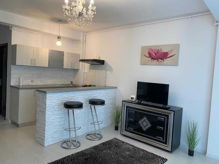 inchiriere Ap 2 camere Berceni - 4