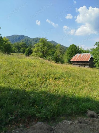 Vand casa si teren Vadu Oii, Gura Teghii - 1