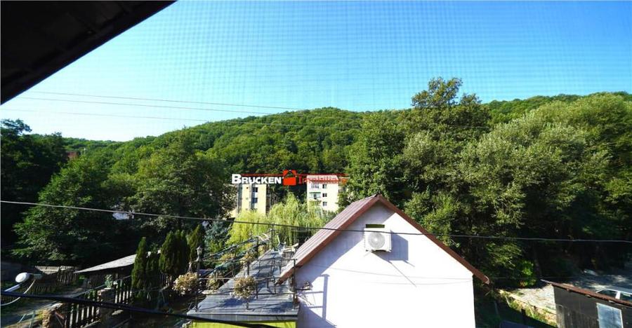 LOCUINTA TA DE VIS IN PADUREA NEAGRA - 15