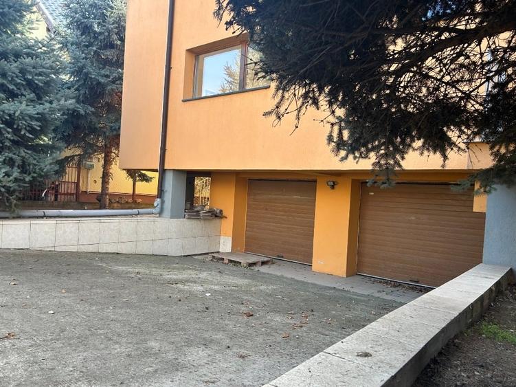 Casa /vila individuala Dumbrăvița str Ferventia - 4