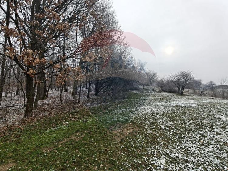 Teren 5,700mp Somcuta Mare / investitie cu potential major - 1