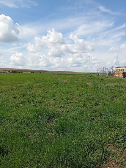 Vand teren intravilan - 1