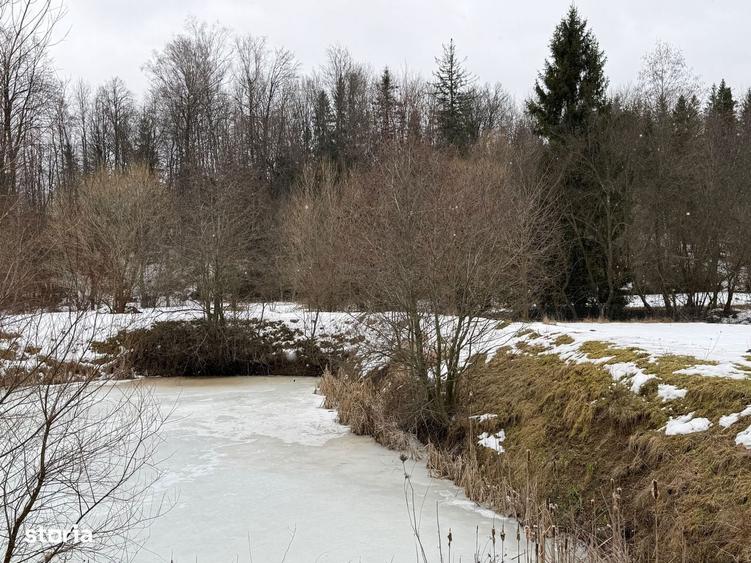 Teren extravilan | Horodnic De Sus | 3600MP - 9