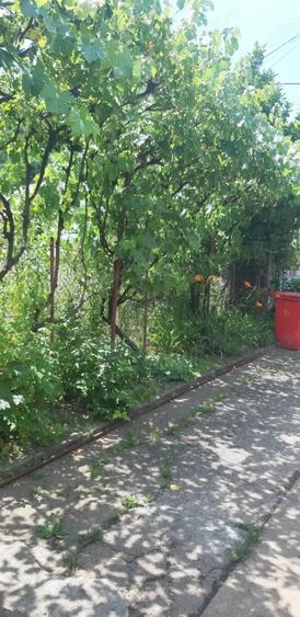 Casa zona centrala Rm Valcea - 3