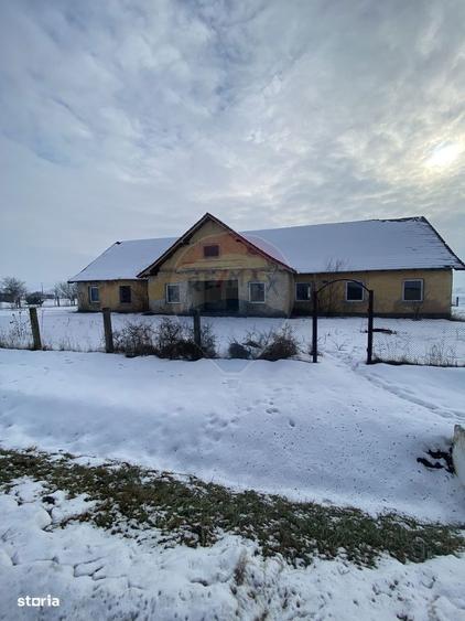 Teren Hoghilag/Dumbraveni Strada Principala - 4