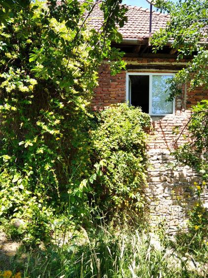 Vand casa la munte - 10