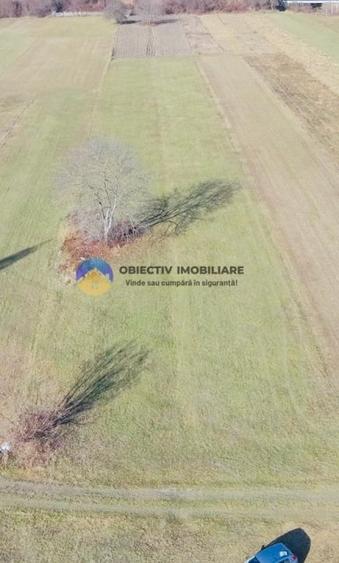 TEREN intravilan  4488 mp - PANGĂRAȚI - 3