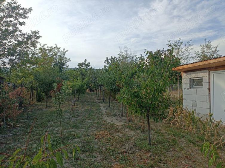 Casa cu curte si gradina - zona linistita si frumoasa - 3