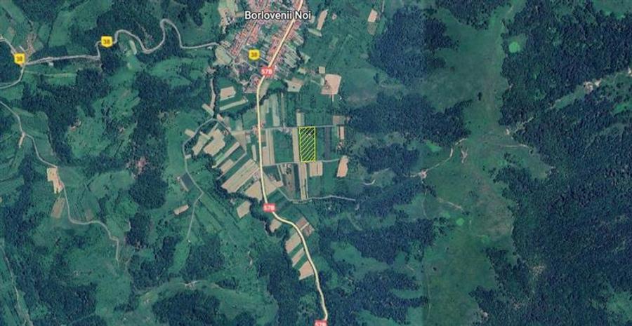 Borlovenii Noi, Teren Drept, 16000mp, la Limita Localitatii - 7