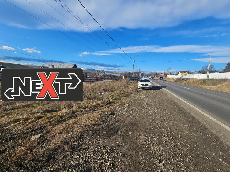 Teren Turturesti la strada principala - 3