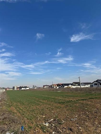 RECO teren de vanzare in Santandrei - 2