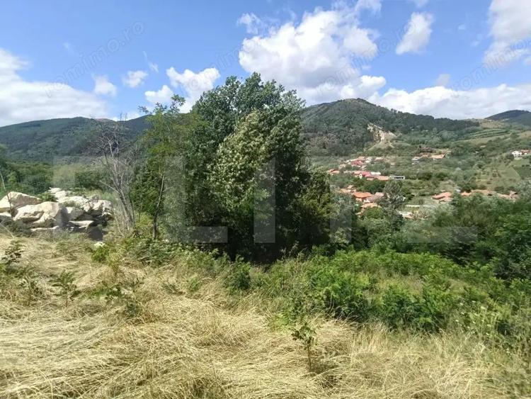 Cabana la rosu 150 mp cu teren de 3500 mp in Ampoita - 5