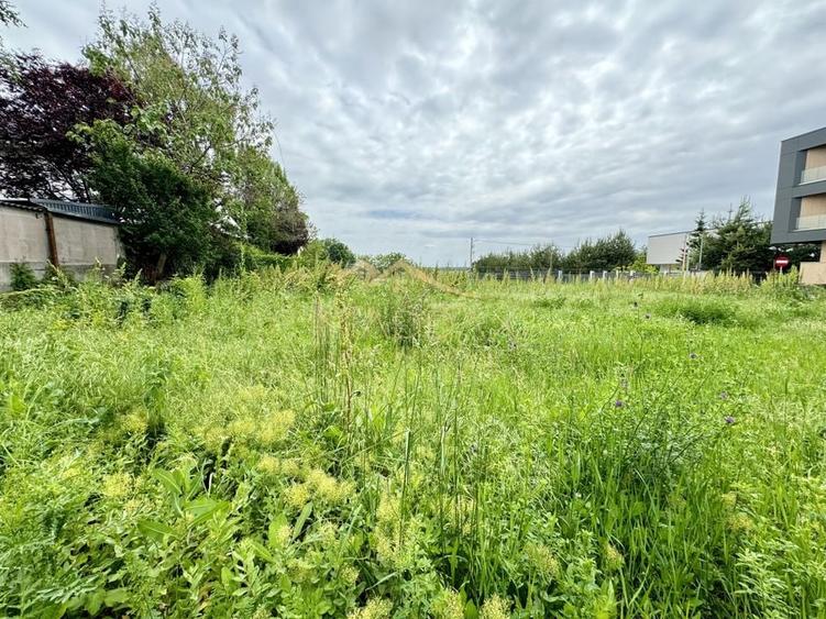 Vila impresionanta *258mp* 1000mp teren / Pipera-Erou Iancu Nicolae - 57