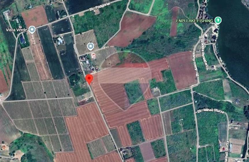 Teren de 1950 mp, în Aroneanu
