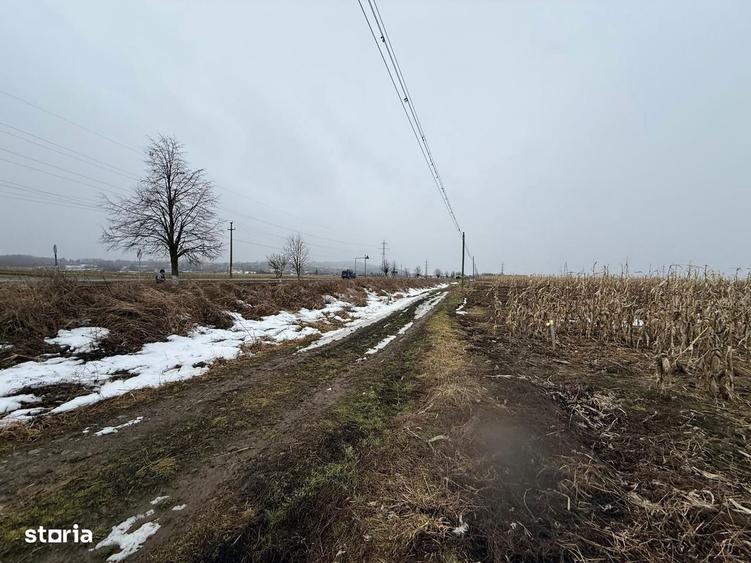 Teren extravilan | Galanesti | 7.276 mp | Front 29 m - 1