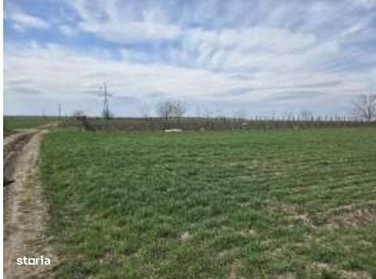 Teren extravilan Cota parte 29/64 Greaca, ID: R3030129 - 5