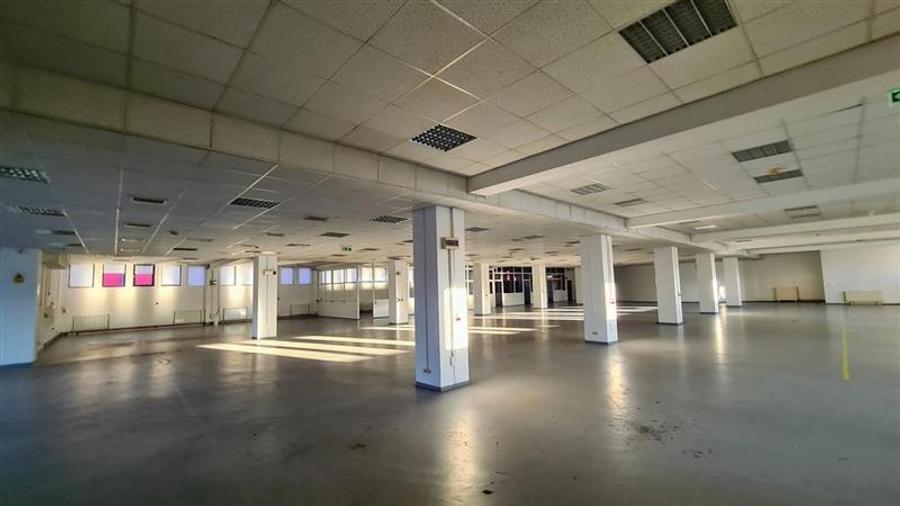 Spatiu show room, 1500 mp , parcare , Calea Lugojului - 4