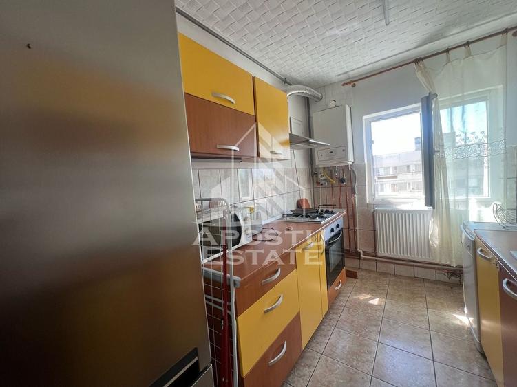 Apartament cu doua camere ,centrala proprie,zona Take Ionescu - 8