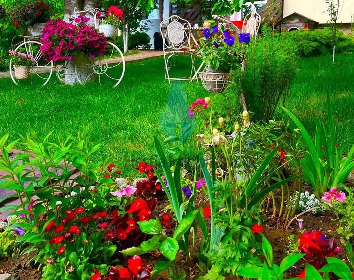 Vila eleganta P+E+M si 550mp teren, Bucium-Iasi. - 9