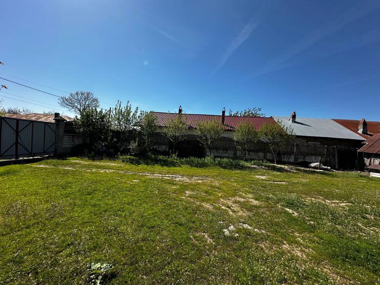 Casa spatioasa de vanzare - 6