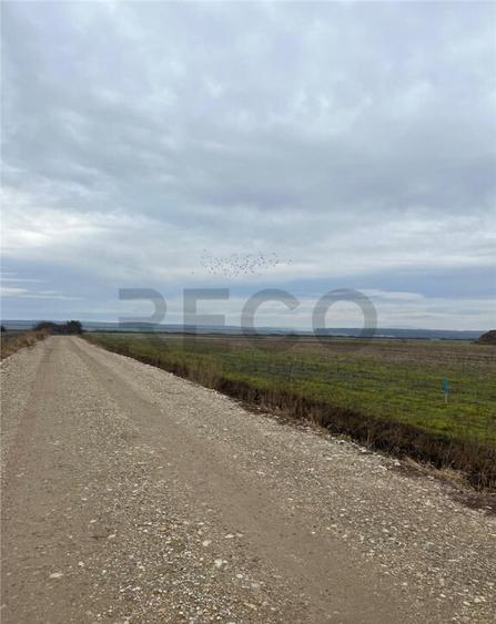 RECO Teren intravilan cu PUZ in Osorhei - 4