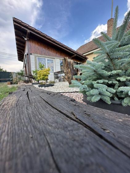 Vand propietate in Galda de Jos , 4700 mp - 2