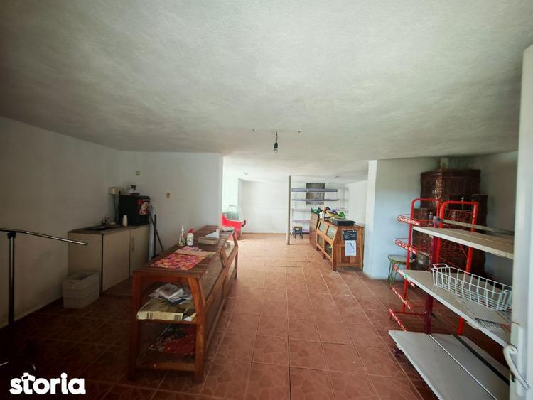 2 Case + teren 3233 mp Darmanesti Arges - 5