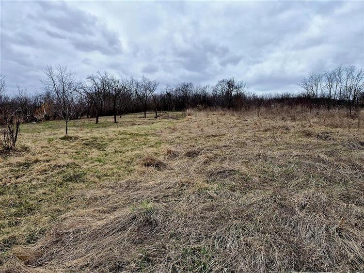 Teren cu vedere superba la lac de 1280 mp, Ciurbesti - 1