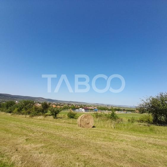 Teren 2400 mp cu deschidere 18 m in Orlat oportunitate investitii - 7