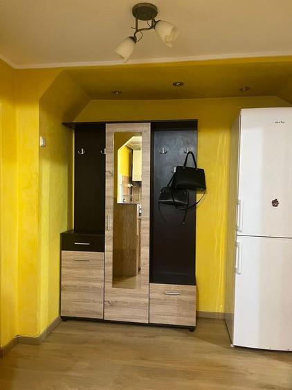 Ofer spre inchiriere ap 2 camere Aleea Mircesti - 6