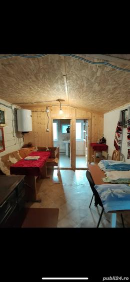 vand cabana sat Muntele Baisorii - 7