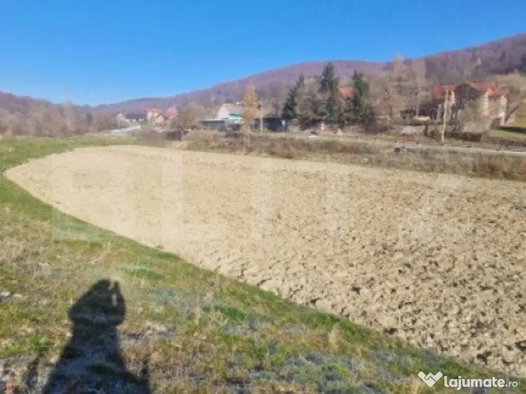 Teren extravilan - Sita Buzaului -6800 mp posibilitate trece - 4