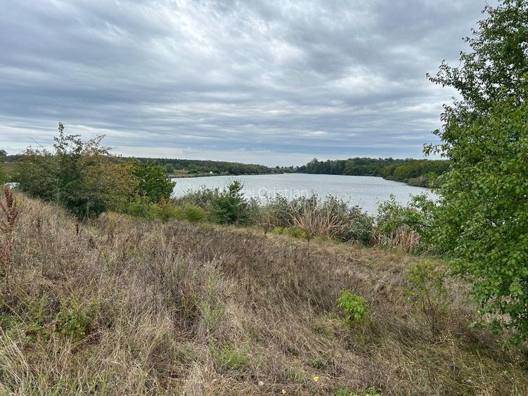 MOARA VLASIEI TEREN INTRAVILAN LA LAC SI PADURE MOARA VLASIEI TEREN INTRAVILAN LA LAC SI PADURE