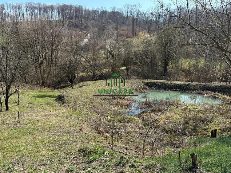 Teren Govora / 8131mp - 5