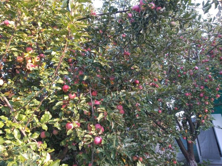 Oportunitate in Zona Metropolitana Brasov - 8