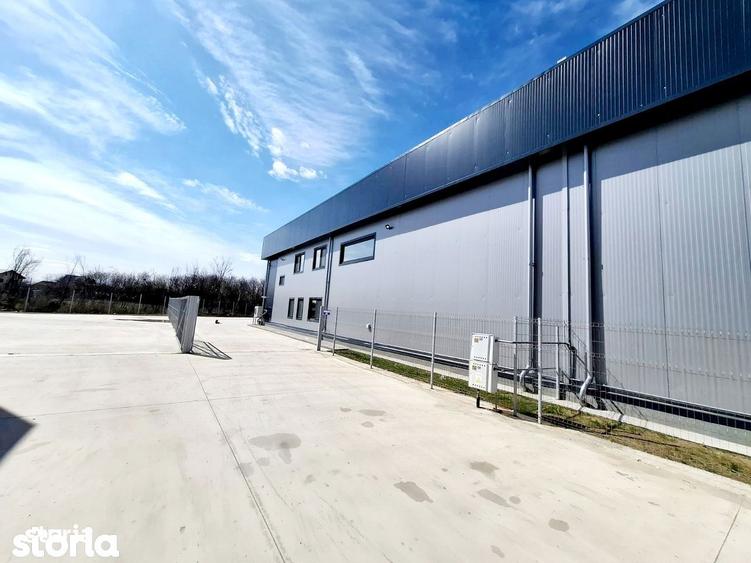 Hale industriale moderne Rudeni, Chitila (la 250 m de Centura) - 6