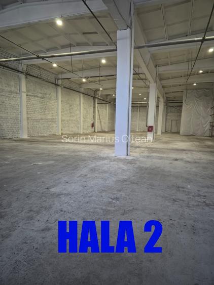Hale de închiriat