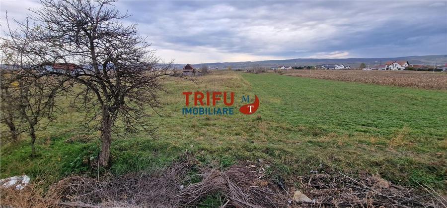 Teren Construcții intravilan de 2160 mp, în Partoș