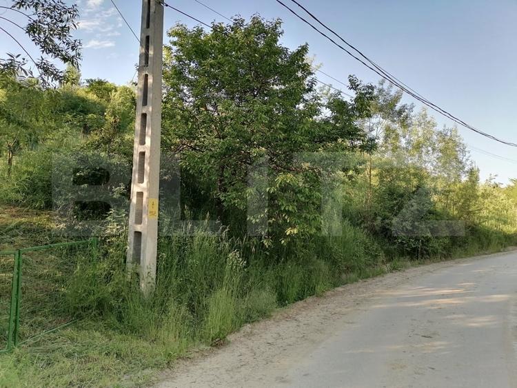 Teren agricol intravilan de 14400 mp, în Gemenea-Brătulești