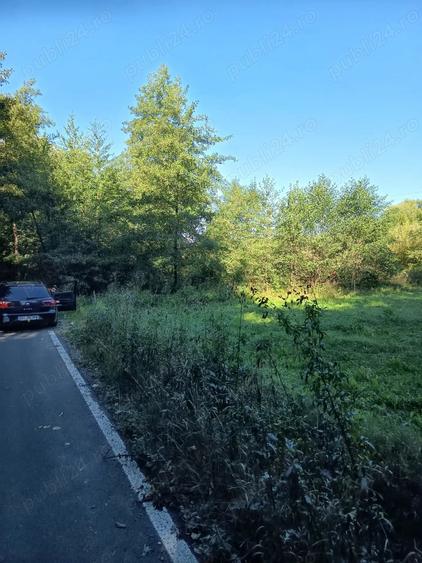 Teren de 4000 mp, în Beznea