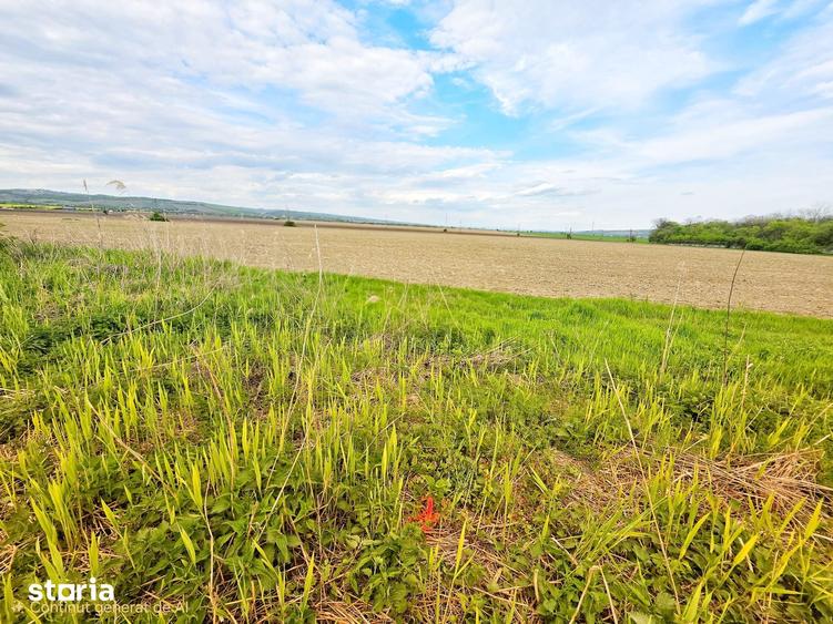 Teren de 7900 mp, în Bucov