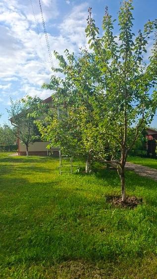 Casă individuală cu 3 camere cu Teren 200 Mp în Cornu de Jos (Cornu)