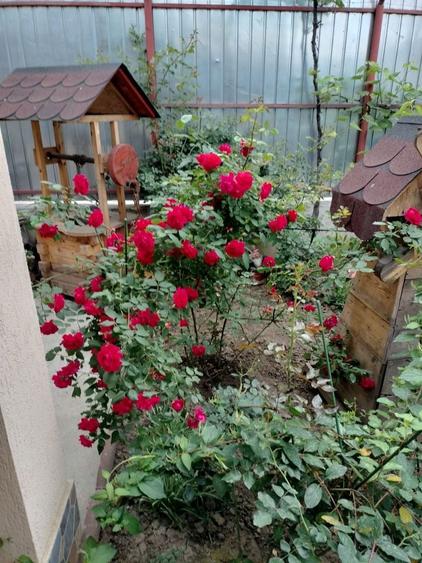 Casa de vanzare Luica/Zetari /soseaua Giurgiului - 6