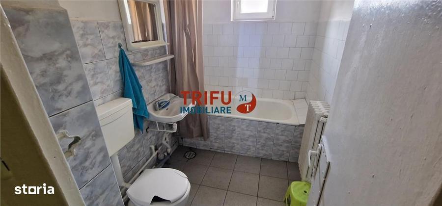 Spatiu de inchiriat zona Ampoi III - 10