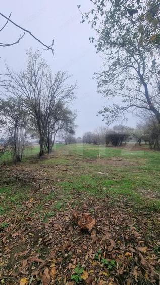 OPORTUNITATE TEREN 0,9 Ha intravilan constructii+extravilan - 17