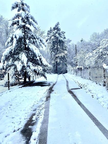 Teren intravilan 5660 mp - 11