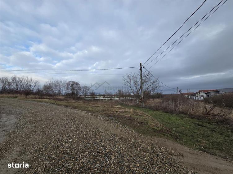 Teren intravilan,dublu front,Paleu,Oradea,Bihor - 3